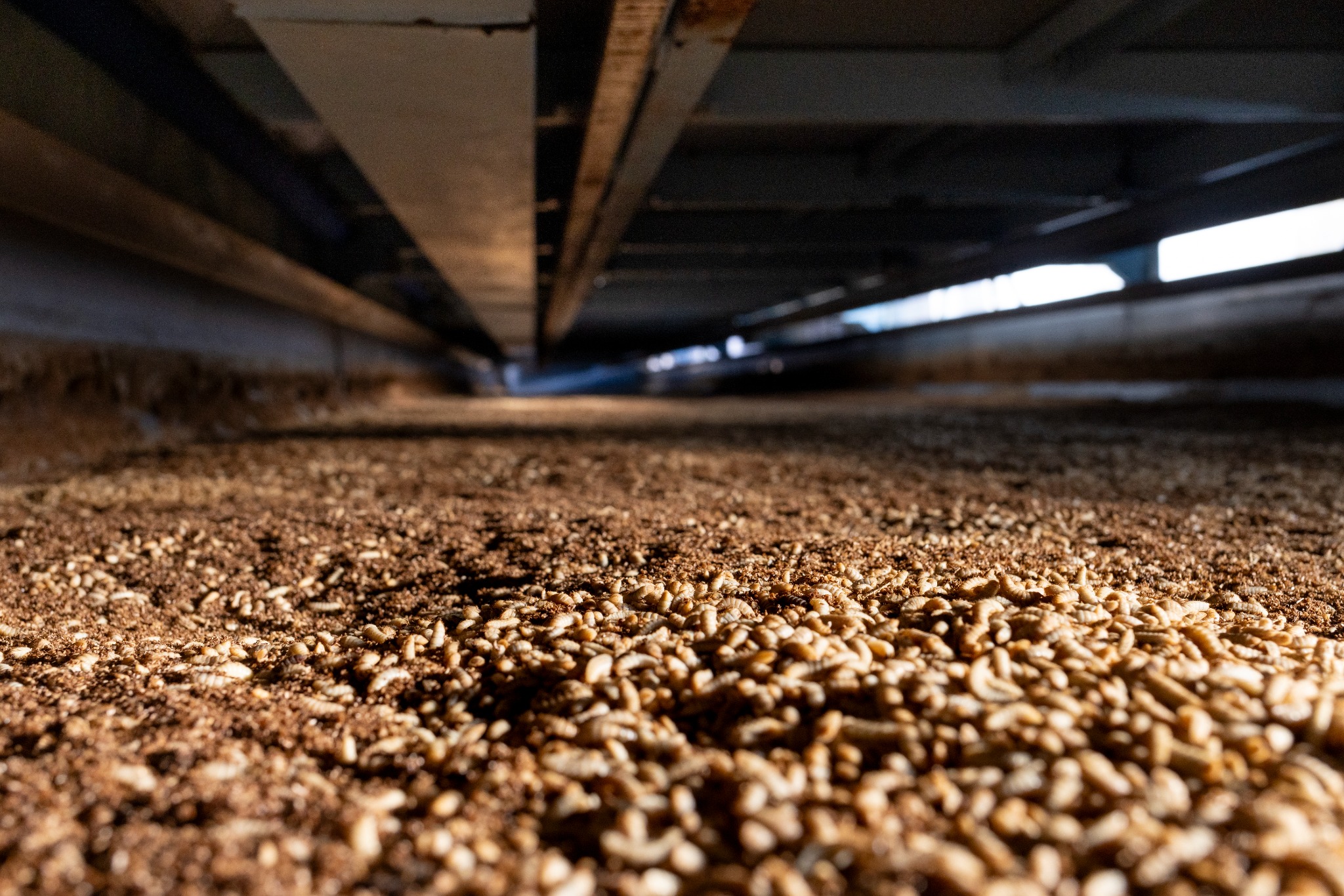 AIR2B rearing beds